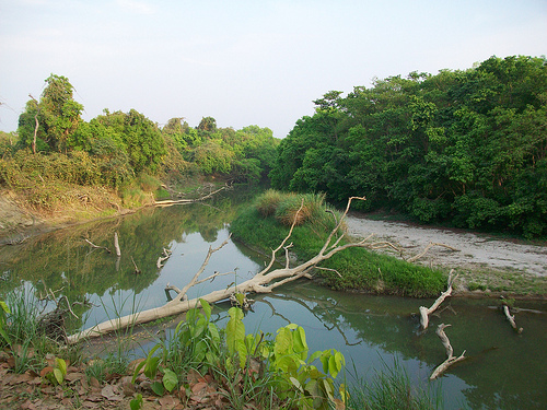 Dudhwa National Park